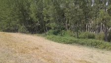 Ballısaray Belgeseli 02