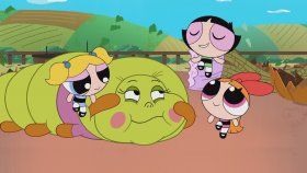 Kelebeğe Dönüşme | Powerpuff Girls Türkçe | Çizgi Film