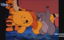 Winnie the Pooh - 22. Bölüm (TV Serisi)