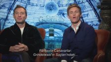 Fantastik Canavarlar: Grindelwald'ın Suçları (2018) 'Connections'