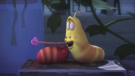 İlk Görüşte Aşk - Larva Çizgi Film | Larva Tam Bölüm