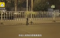Sahibini bekleyen köpek