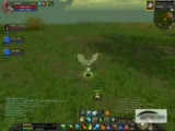 Silkroad Tg Killed _anger_ Server Oasis