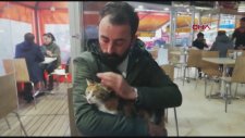 Büyü İçin Kedilerin Kuyruğu Kesildi