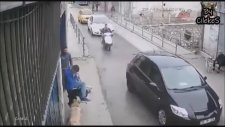 Devasa Kangal Pitbullu Perişan Etti