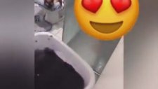 Renk Değişdirten Eşek Şakası