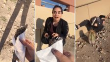 Kuş Korkusundan Kazara Kaktüse Oturan Kız