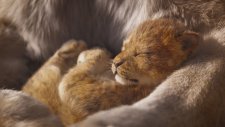Aslan Kral (2019) Türkçe Dublajlı Fragman