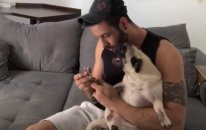 Tırnakları Kesilirken Çığlık Atan Köpek