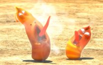 Yakıcı Isı - Larva Çizgi Film | Larva Tam Bölüm