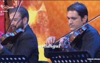 Ayşen Birgör - Sen Kimseyi Sevemezsin