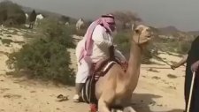 Devenin Obez Arabı Taşıyamaması