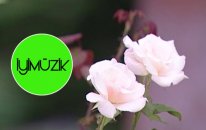Private video