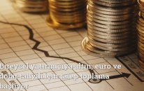 Bireysel yatırımcıya altın, euro ve dolar tahvili için talep toplama başlıyor