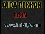 ajda pekkan - resim