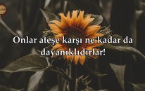 Bakara Suresi - İdris Abkar | fussilet Kuran Merkezi