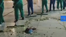 Mekke'yi çekirgelerin ve hamam böceklerinin basması