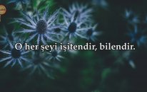 Enam Suresi - İdris Abkar | fussilet Kuran Merkezi