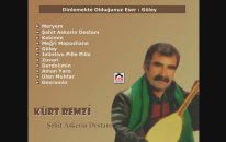 Kürt Remzi - Güley
