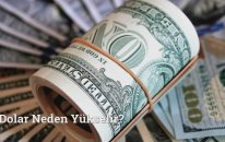 Dolar Neden Yükselir?