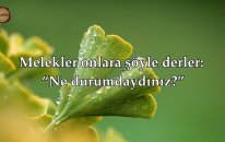 Ne Durumdaydınız? Nisa Suresi (88-99) - İdris Abkar | fussilet Kuran Merkezi