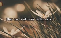 Kalbinizin Derinliklerine Doğru.. Ali İmran Suresi (180-186) - İdris Abkar | fussilet Kuran Merkezi