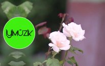 İzzettin Elçiboğa - Yüreklerin Yangını