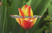 Yazıklar Olsun Bana! Keşke Falanı Dost Edinmeseydim.. İslam Subhi - Furkan Suresi