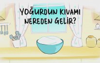 Yoğurdun kıvamı nereden gelir?