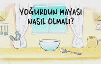 Yoğurdun mayası nasıl olmalı?