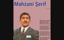 Mahzuni Şerif - Dökülmüş Laleler Mevsim Gelmiyor (Özel Kayıt)