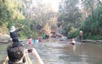 Salda Gezinti Yapan Turistlere Saldıran Asabi Fil
