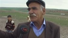 İngilizce Bilen Köy - Diyarbakır/Alçık