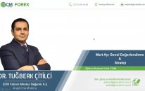 Mart Ayı Genel Strateji ve Değerlendirme / Dr. Tuğberk ÇİTİLCİ / 01.03.2019