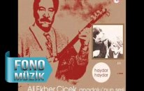 Ali Ekber Çiçek - Kader Değil (Official Audio)