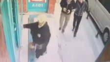 Önüne Gelene Saldıran Yavru Kedi