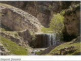 Bostan Saz Grubu (Halebi)