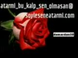 Can Tanem