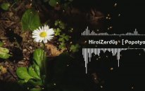HiraiZerdüş - Papatya