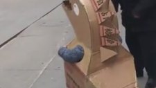 Hesaplı Dinozor Kostümü
