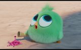 The Angry Birds Movie 2 (2019) Türkçe Dublajlı Teaser