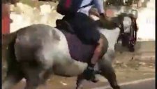 Okula Dört Nala Giden Liseli Kız