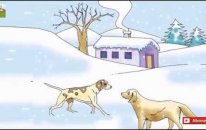 Çiftci İle Köpekler I Masal Diyarı