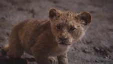 The Lion King (2019) 2. Fragman