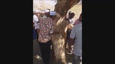 Ağaca Tapan Hacılar