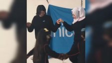 Dua Lipa'nın Halayla Coşması