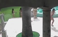 Bikinili Kızları Kovalayan Kanguru