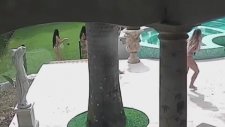 Bikinili Kızları Kovalayan Kanguru