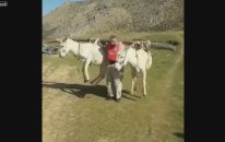 İki Eşeği Sırtlayan İnsan Azmanı