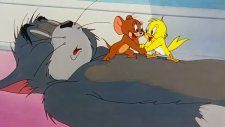 Yenilenmiş Tom ve Jerry